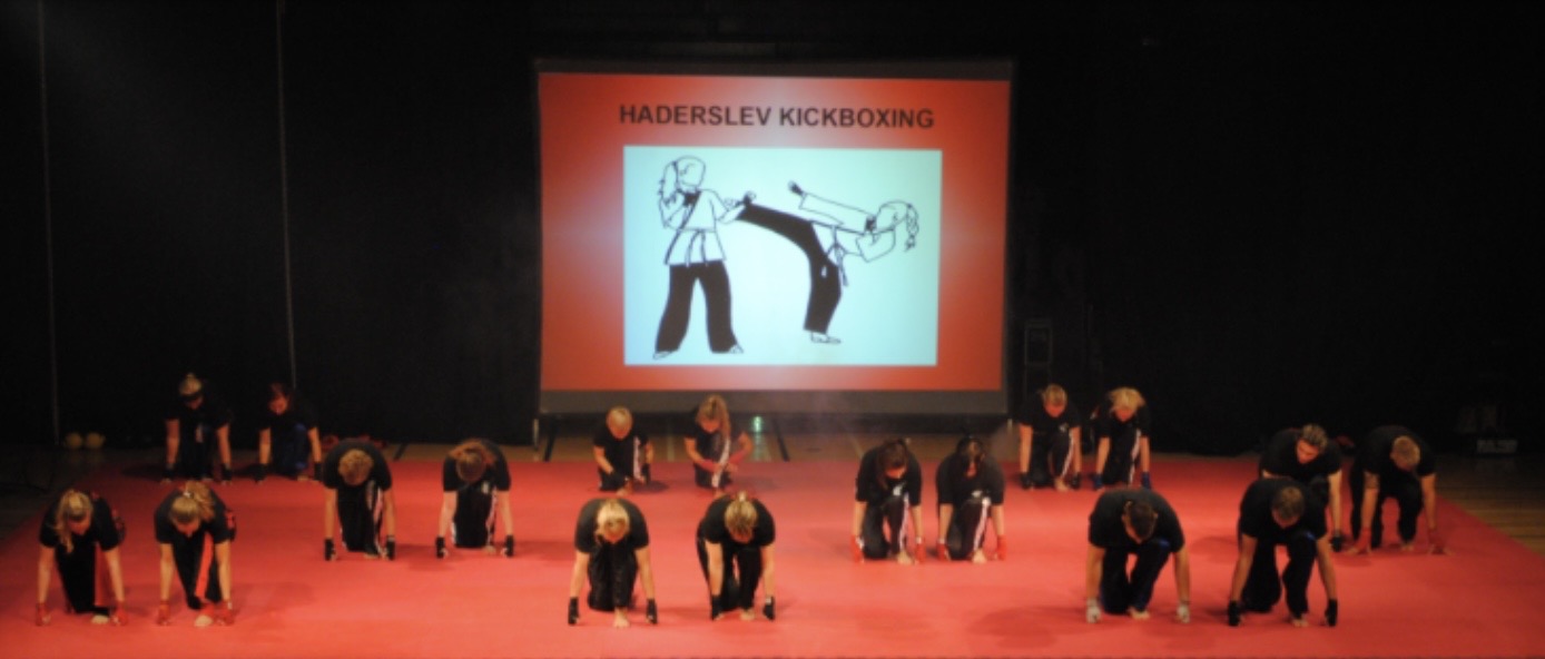 Billede fra gallashowet i Haderslev 2011